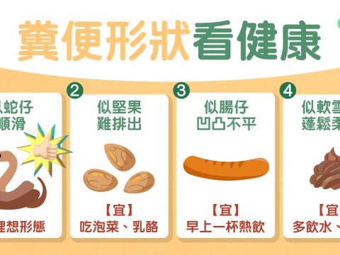 糞便7種形狀知腸胃狀況　 似堅果代表什麼？附防便秘飲食